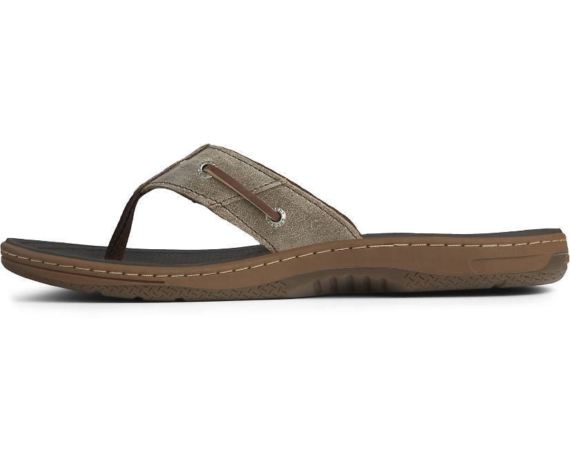 Sandalias Sperry Baitfish Flip-Flops Marrones | JPDKVE349