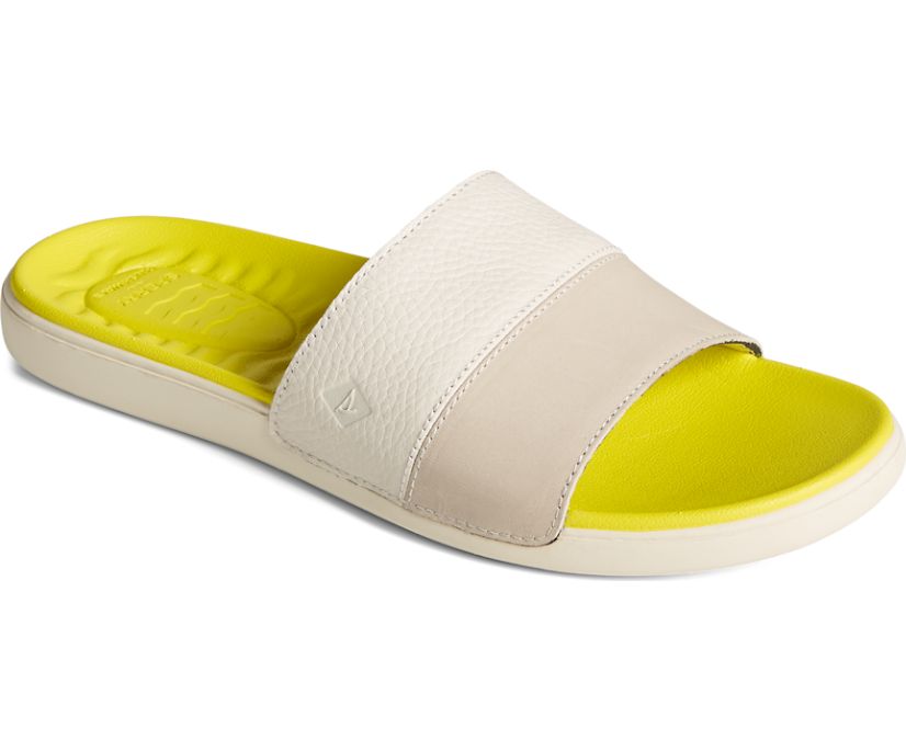 Sandalias Sperry Dock PLUSHWAVE Slide Marrones | BQDMWU945