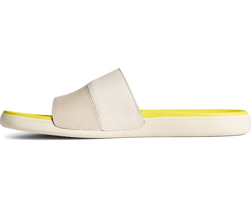 Sandalias Sperry Dock PLUSHWAVE Slide Marrones | BQDMWU945