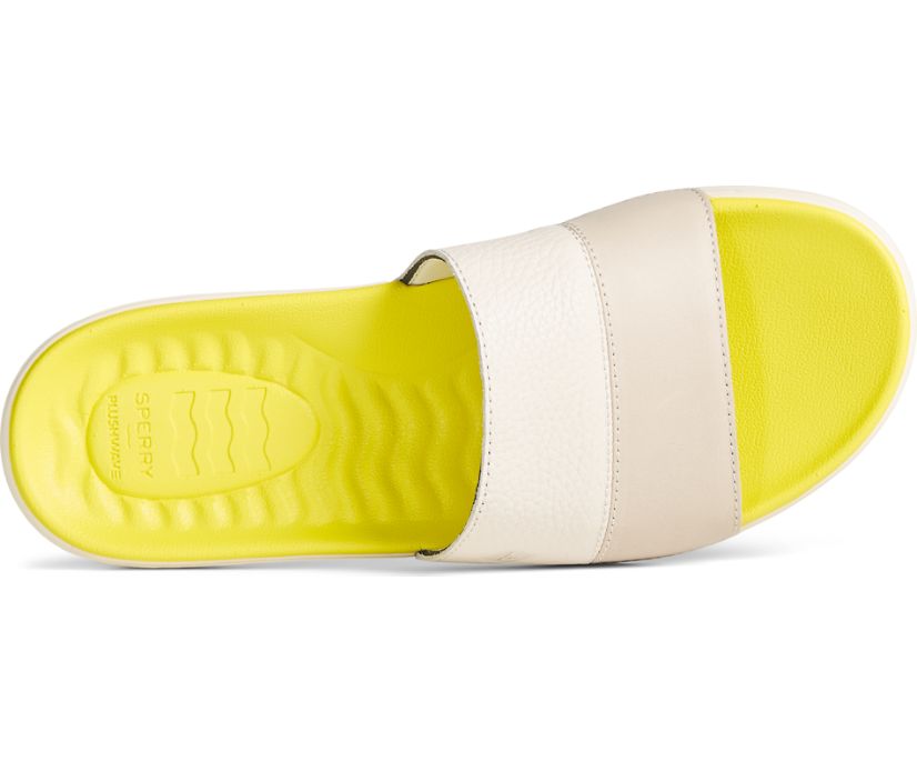 Sandalias Sperry Dock PLUSHWAVE Slide Marrones | BQDMWU945