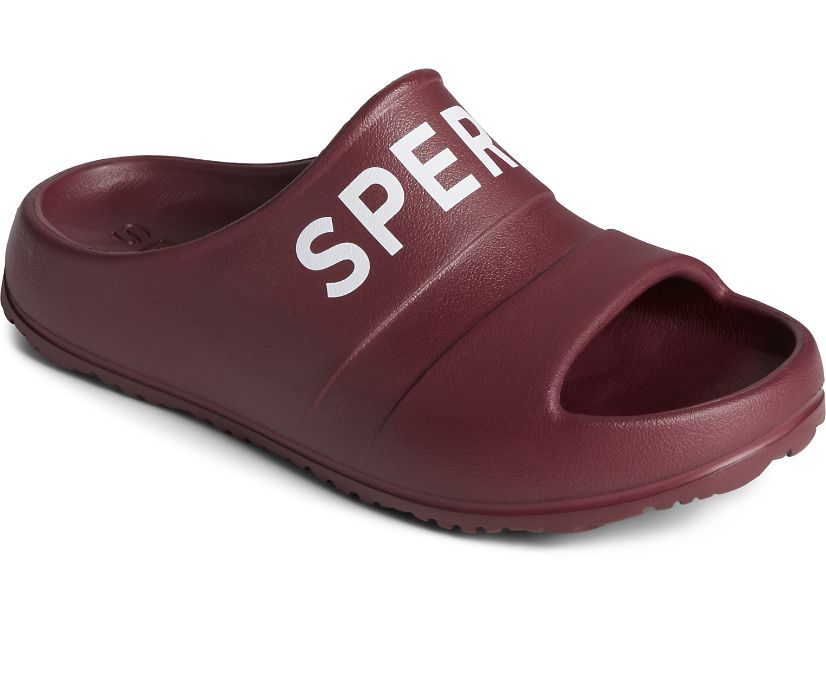 Sandalias Sperry Float Slide Logo Marrones Oscuro | RYBAUS247