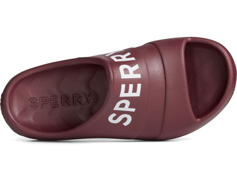 Sandalias Sperry Float Slide Logo Marrones Oscuro | RYBAUS247