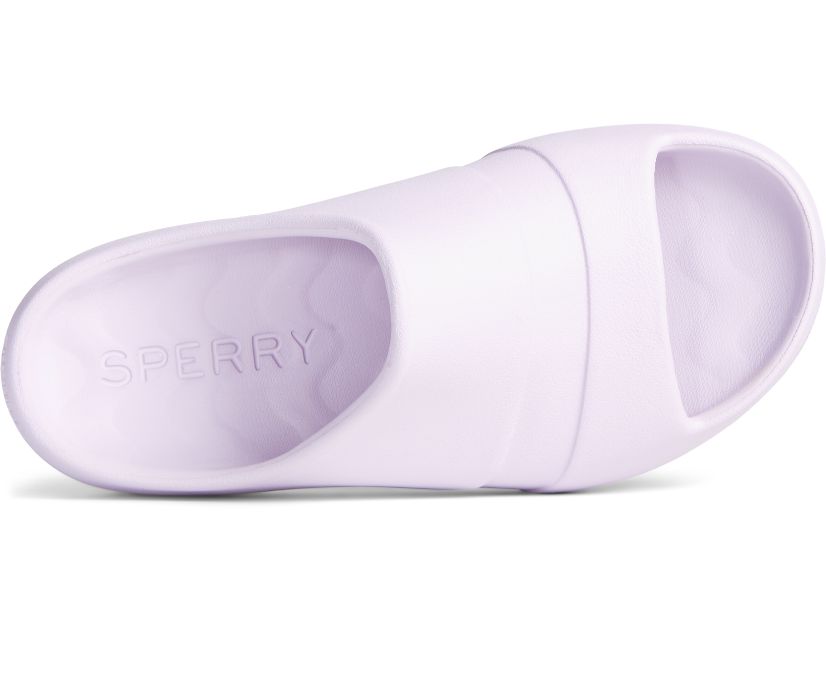 Sandalias Sperry Float Slide Moradas | YZBRSO731