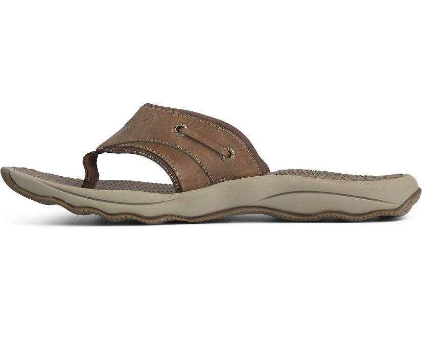 Sandalias Sperry Outer Banks Flip Flop Marrones | GTVDPU237