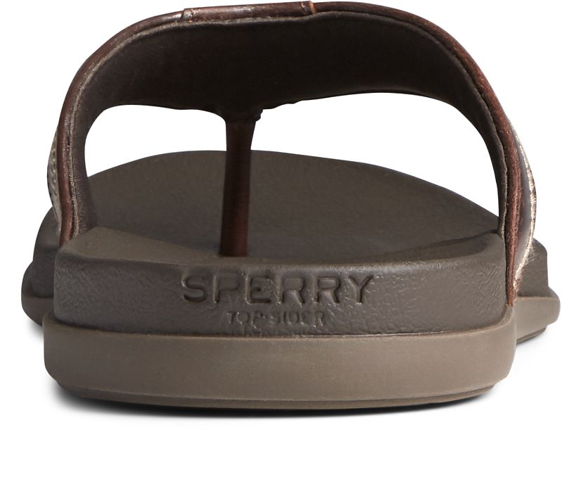 Sandalias Sperry PLUSHWAVE Dock Flip Flop Marrones | EPZLOA207