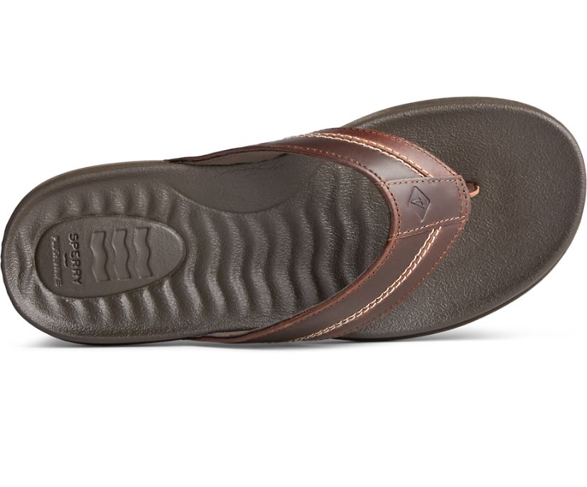 Sandalias Sperry PLUSHWAVE Dock Flip Flop Marrones | EPZLOA207