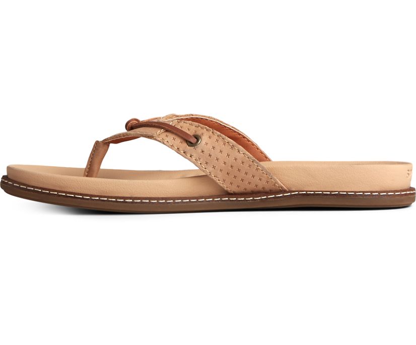 Sandalias Sperry Waveside PLUSHWAVE Flip Flop Marrones | FEHBTO147