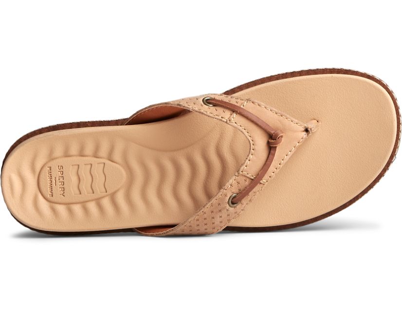 Sandalias Sperry Waveside PLUSHWAVE Flip Flop Marrones | FEHBTO147