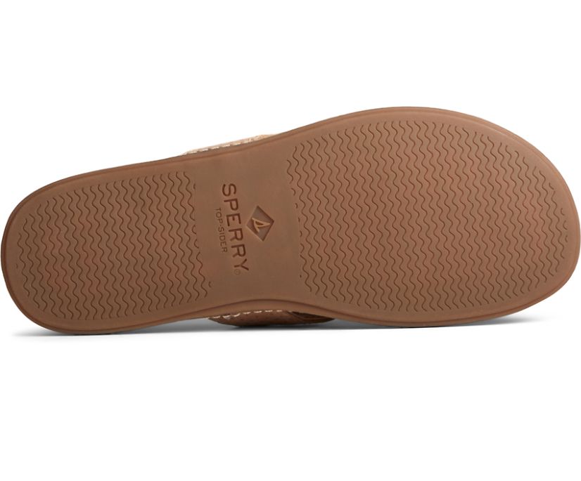 Sandalias Sperry Waveside PLUSHWAVE Flip Flop Marrones | FEHBTO147