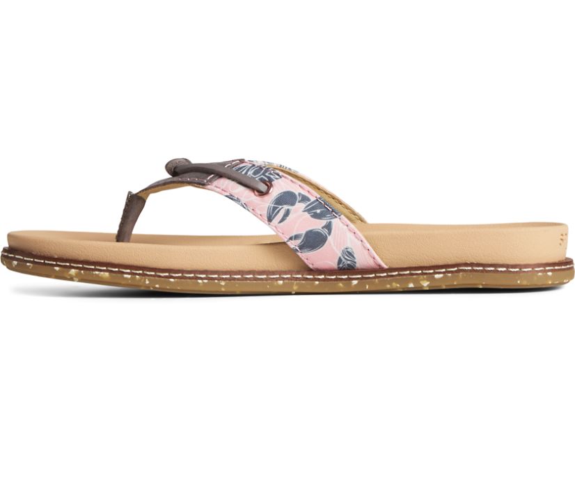 Sandalias Sperry Waveside PLUSHWAVE Flip Flop Rosas | HLJRAG481