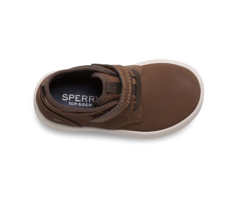 Zapatillas Sperry Coastal Break Junior Chukka Marrones | ENMYHL129