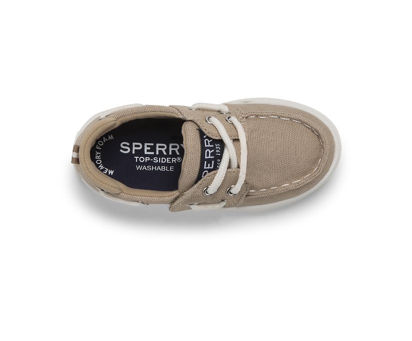 Zapatillas Sperry Sea Ketch Junior Washable Kaki | MSAEVY723