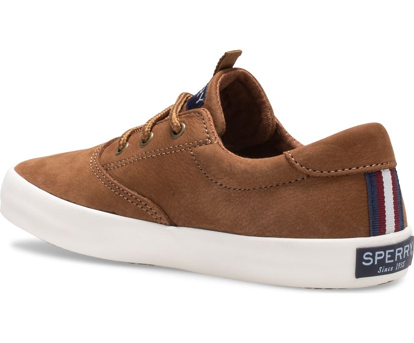 Zapatillas Sperry Spinnaker Washable Marrones | SJQICL452