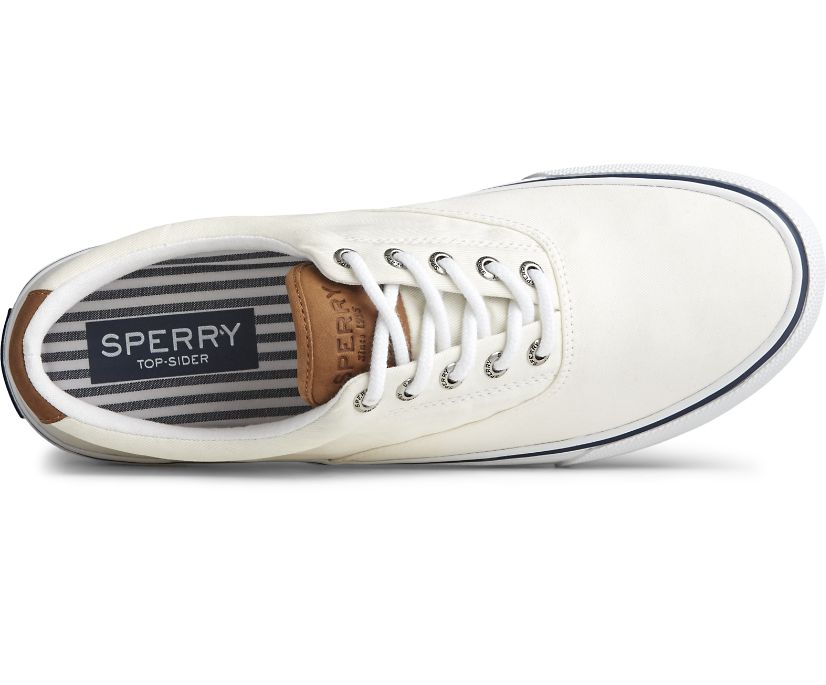 Zapatillas Sperry Striper II CVO Azules Claro Blancas | BLHJZI634