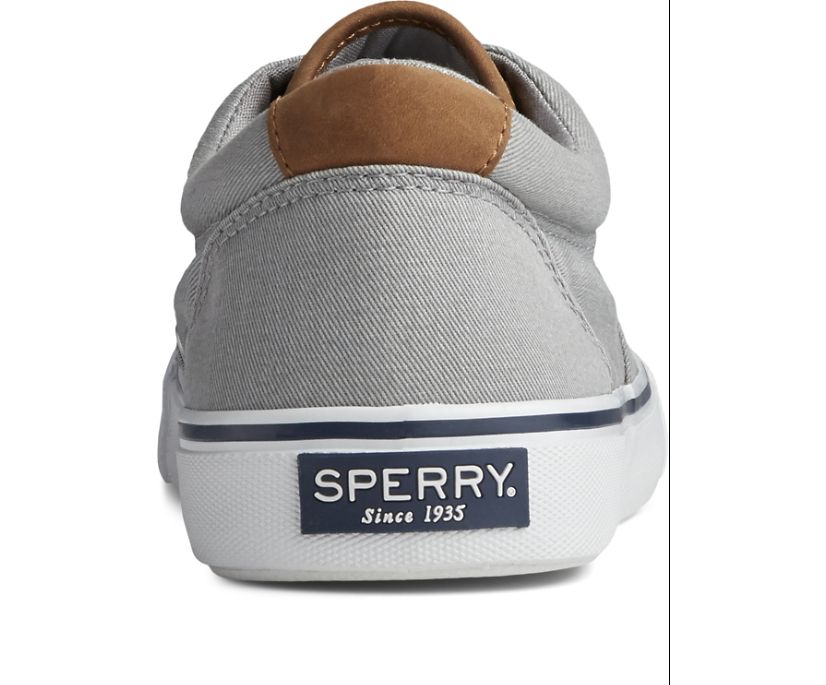 Zapatillas Sperry Striper II CVO Azules Claro Gris | DLJWPS618