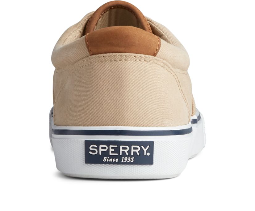 Zapatillas Sperry Striper II CVO Azules Claro | KCGPDU162