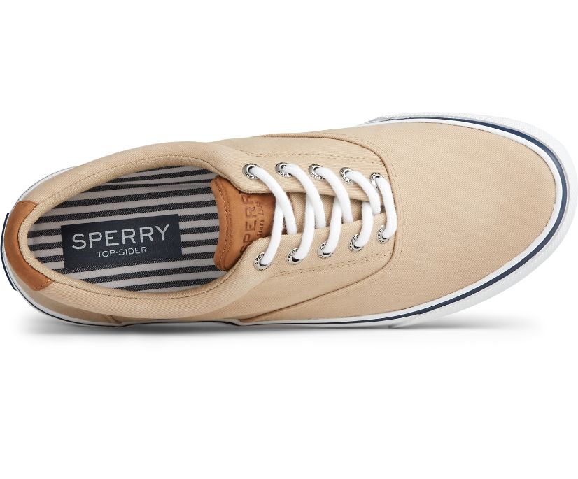 Zapatillas Sperry Striper II CVO Azules Claro | KCGPDU162