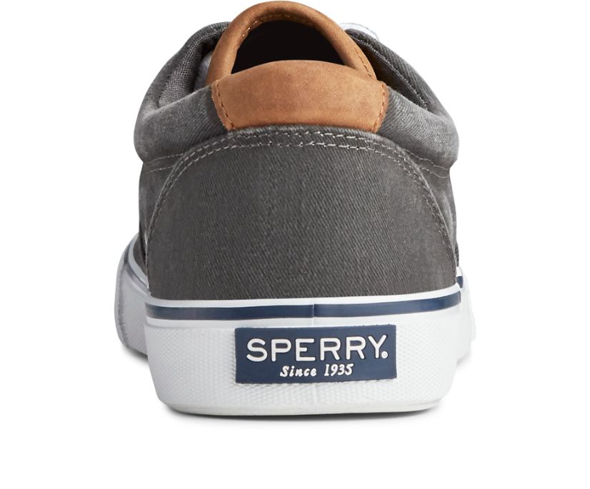 Zapatillas Sperry Striper II CVO Azules Claro Negras | NBRXDV160