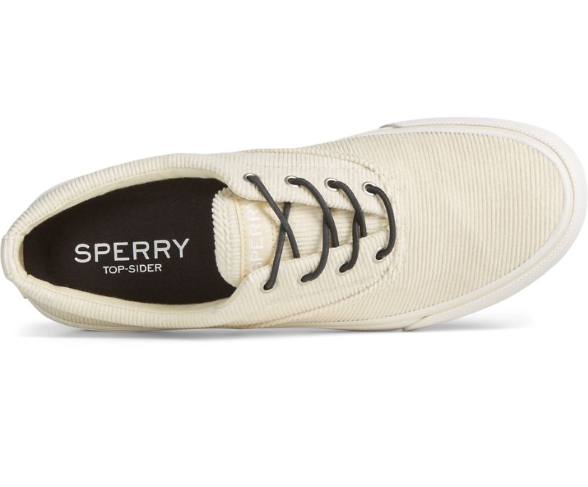 Zapatillas Sperry Striper II CVO Blancas | HMRWVT468