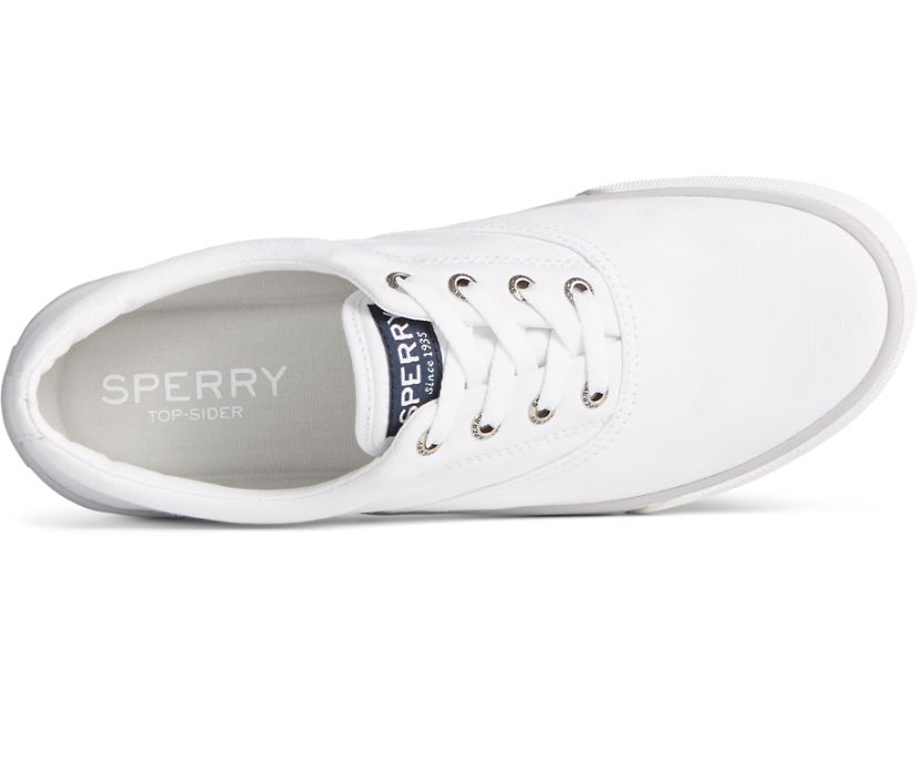 Zapatillas Sperry Striper II CVO Blancas | MSIUQT649