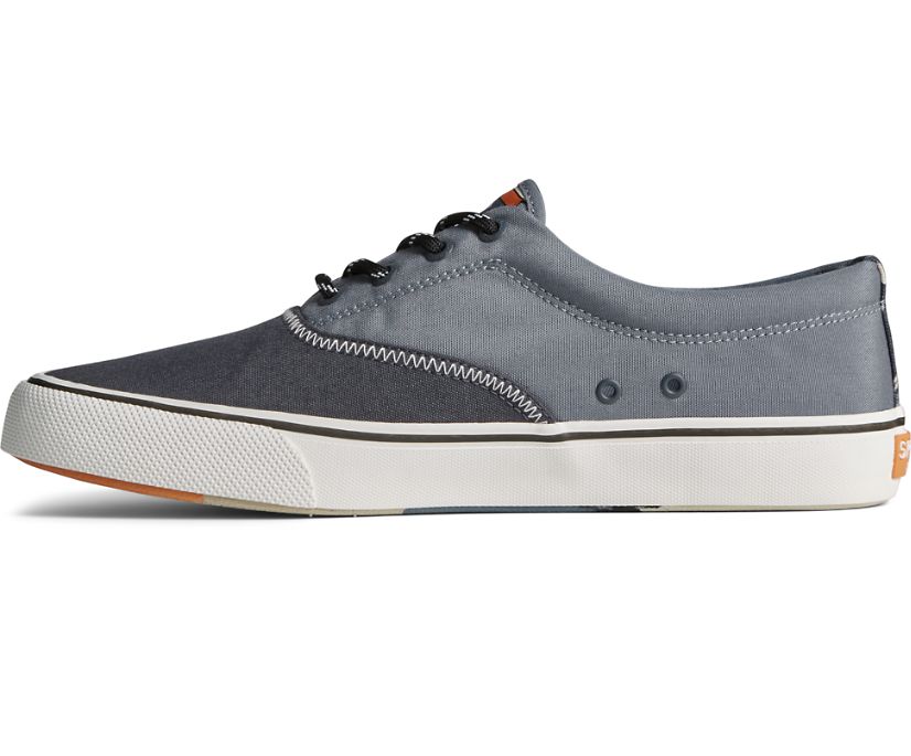 Zapatillas Sperry Striper II CVO Harmony Gris | CMIUKT458