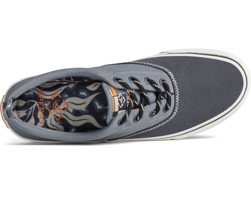 Zapatillas Sperry Striper II CVO Harmony Gris | CMIUKT458