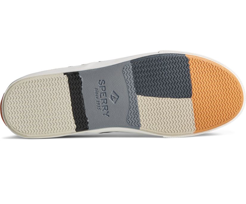 Zapatillas Sperry Striper II CVO Harmony Gris | CMIUKT458