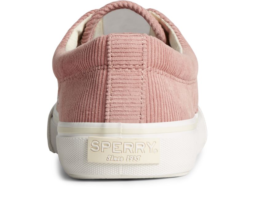 Zapatillas Sperry Striper II CVO Marrones | RHPQGZ490