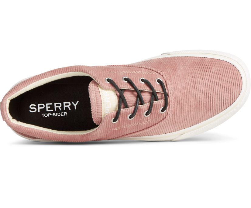 Zapatillas Sperry Striper II CVO Marrones | RHPQGZ490