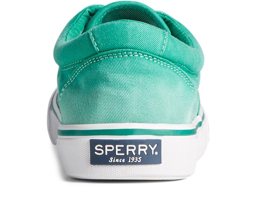 Zapatillas Sperry Striper II CVO Ombre Verde | UFPGRK159