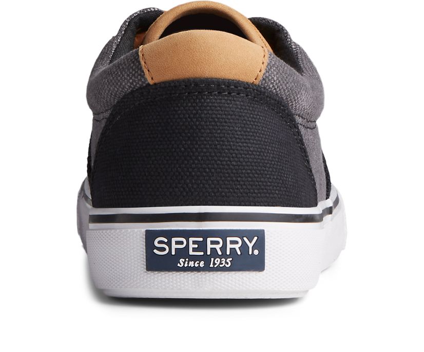 Zapatillas Sperry Striper II CVO Waxy Canvas Gris | AEWUDY370