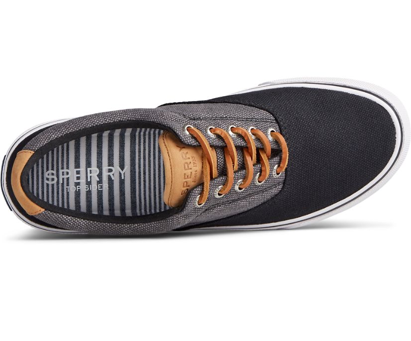 Zapatillas Sperry Striper II CVO Waxy Canvas Gris | AEWUDY370