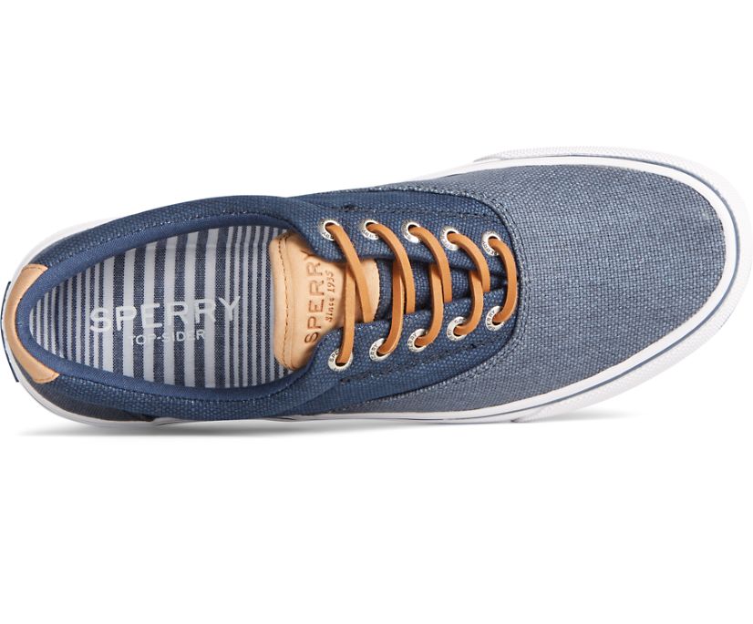 Zapatillas Sperry Striper II CVO Waxy Canvas Azul Marino | QDXCAK395