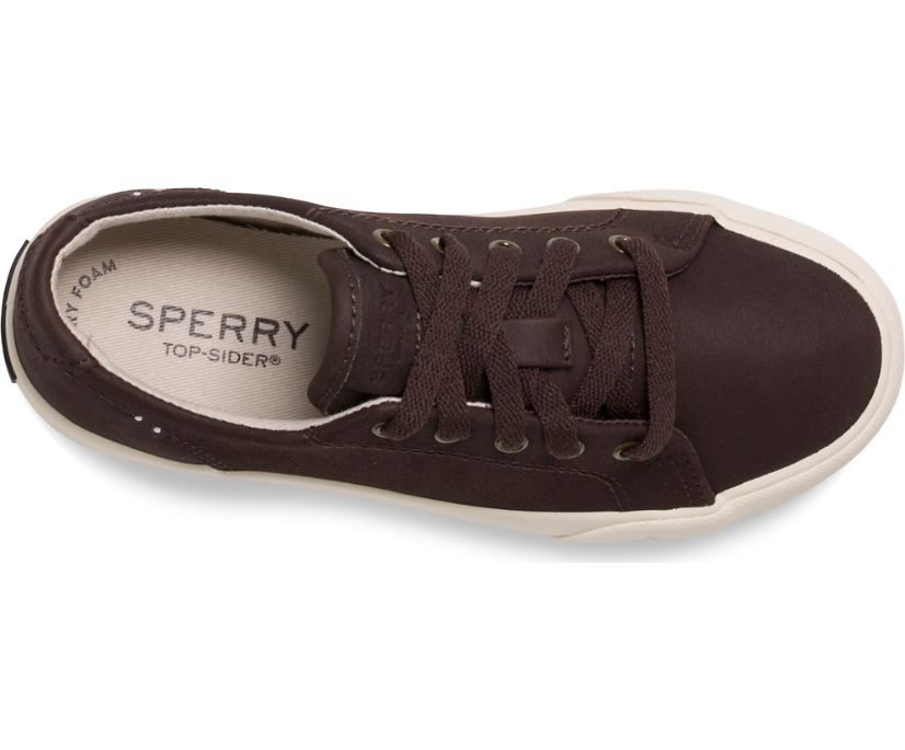 Zapatillas Sperry Striper II LTT Negras Marrones | IJDNTP195