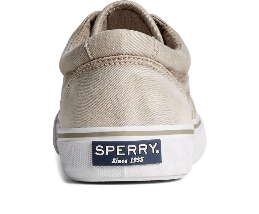 Zapatillas Sperry Striper II Ombre CVO Beige | ERQVMO064