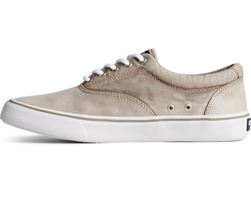 Zapatillas Sperry Striper II Ombre CVO Beige | ERQVMO064