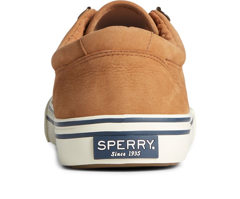 Zapatillas Sperry Striper II Storm CVO Waterproof Cuero Marrones | MUHIEP925