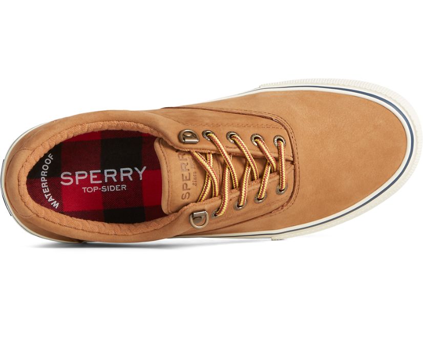 Zapatillas Sperry Striper II Storm CVO Waterproof Cuero Marrones | MUHIEP925