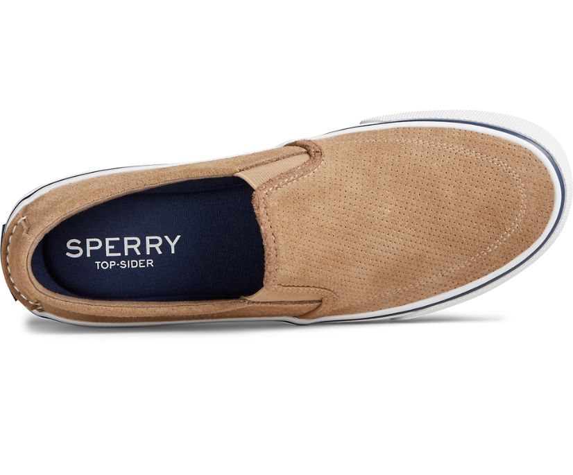 Zapatillas Sperry Striper II Twin Gore Perforated Slip On Gris Marrones | ZOIEMD413