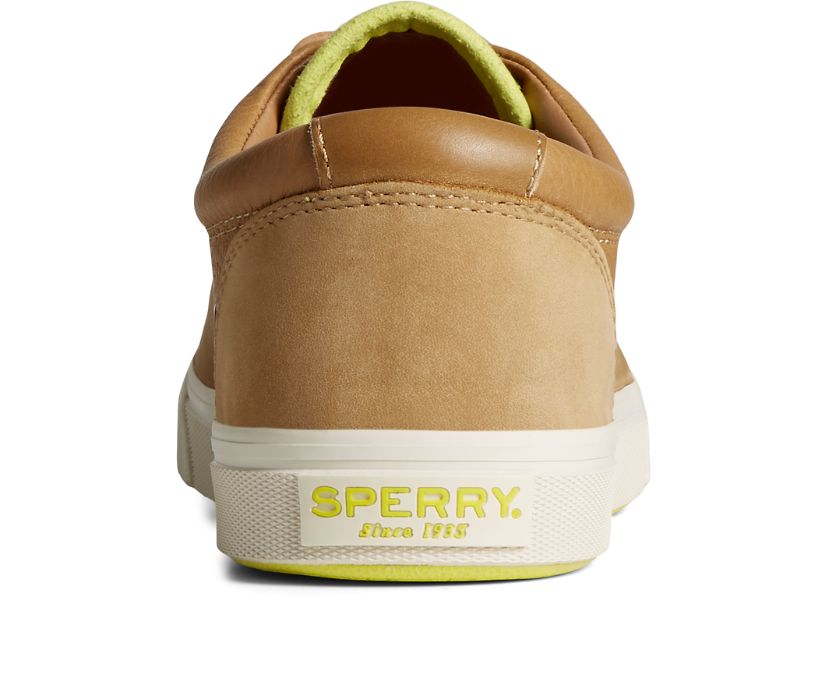 Zapatillas Sperry Striper PLUSHWAVE CVO Marrones | EOGIKB745