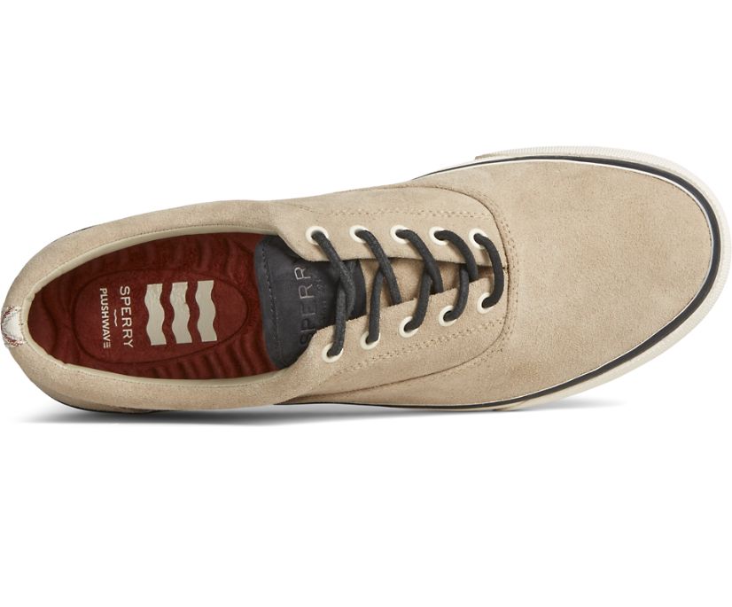 Zapatillas Sperry Striper PLUSHWAVE CVO Kaki | NKFETQ302