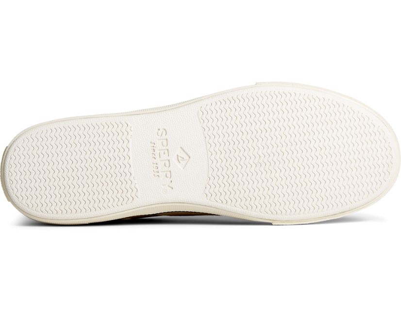 Zapatillas Sperry Striper PLUSHWAVE CVO Kaki | NKFETQ302