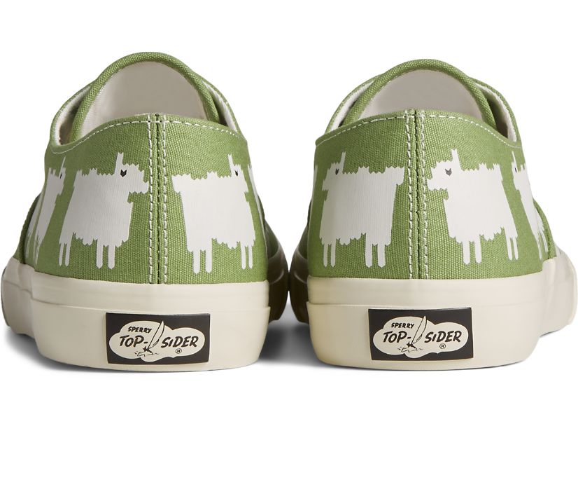 Zapatillas Sperry x Warm & Wonderful Cloud CVO Verde | ECGQLV256