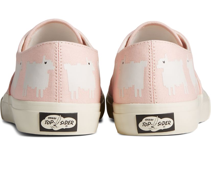 Zapatillas Sperry x Warm & Wonderful Cloud CVO Rosas | NFAHVS065