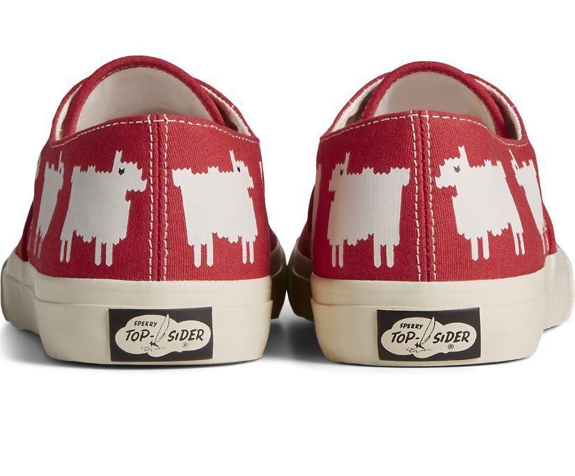 Zapatillas Sperry x Warm & Wonderful Cloud CVO Rojas | TFYKCL521