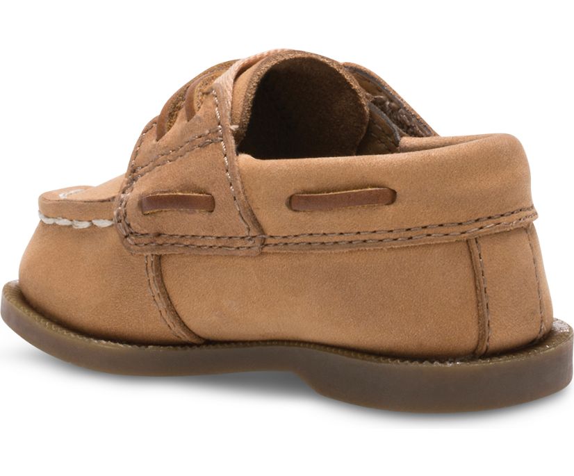 Zapatos del Barco Sperry Authentic Original Crib Hook & Loop Marrones | MKTNHR631