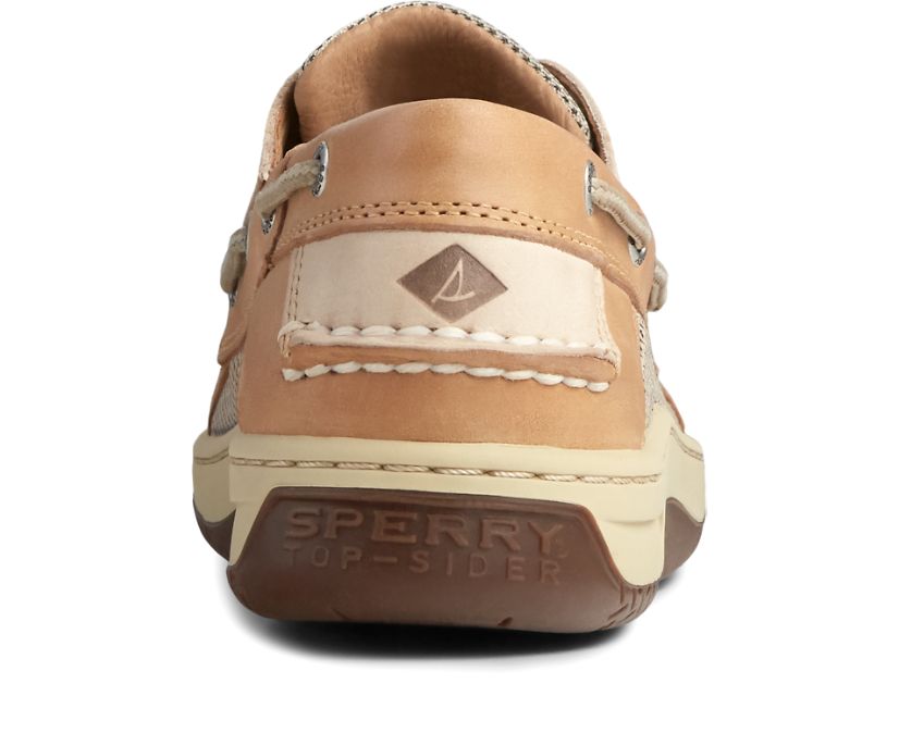 Zapatos del Barco Sperry Billfish 3-Eye Marrones Beige | DQMBST293