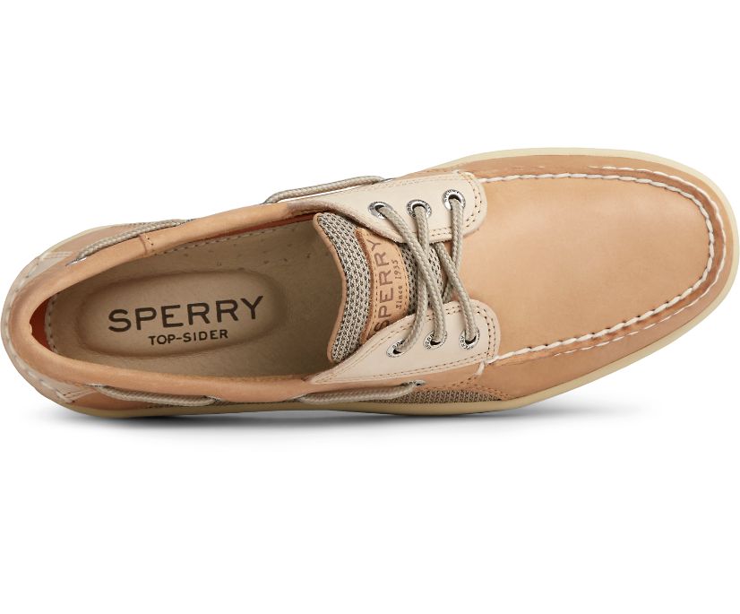 Zapatos del Barco Sperry Billfish 3-Eye Marrones Beige | DQMBST293