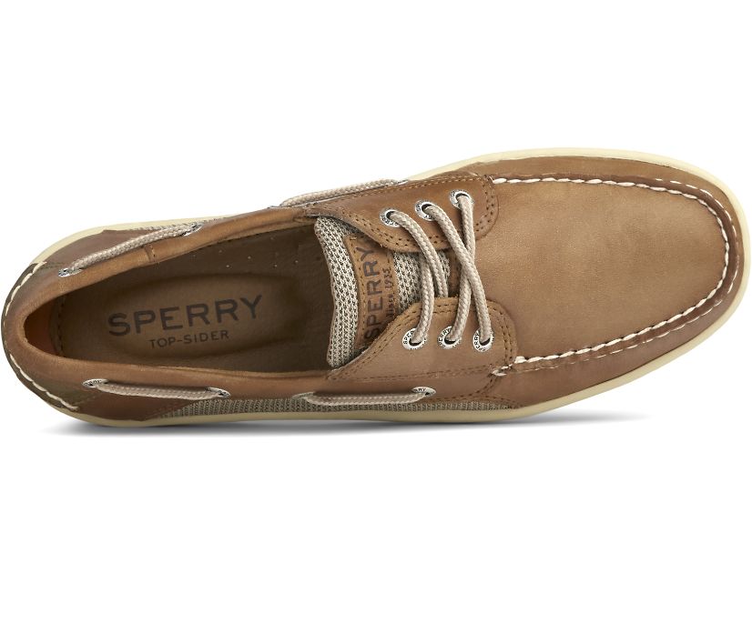 Zapatos del Barco Sperry Billfish 3-Eye Marrones Oscuro | GAQIYT074