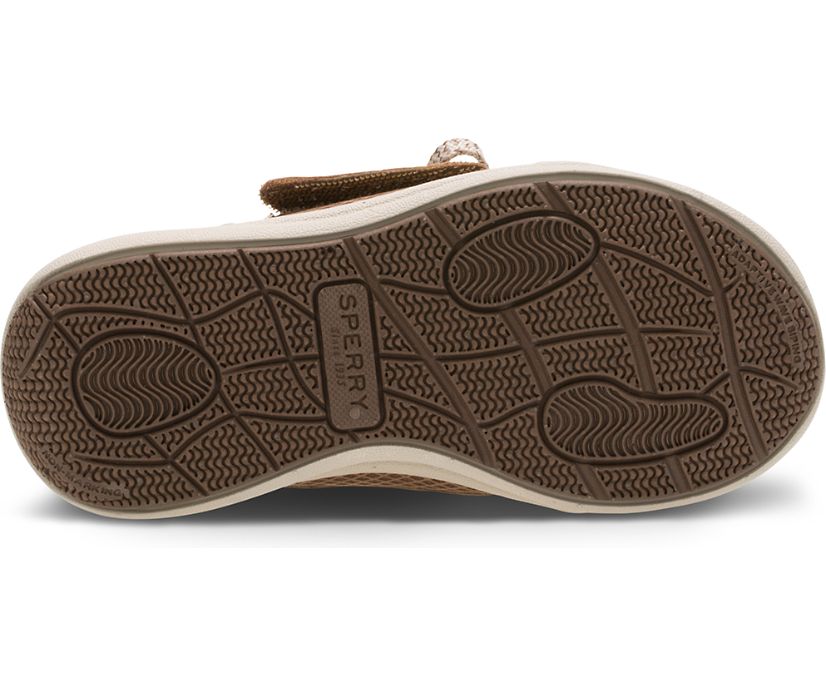 Zapatos del Barco Sperry Gamefish Junior Marrones Oscuro | QAPTBN234